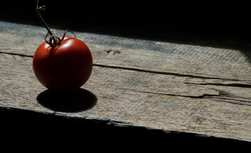 利用番茄工具，让工作效率指数上升-featured-image
